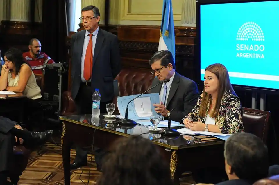 Kunath ratificada al frente de la Comisión de Seguridad y Narcotráfico del Senado