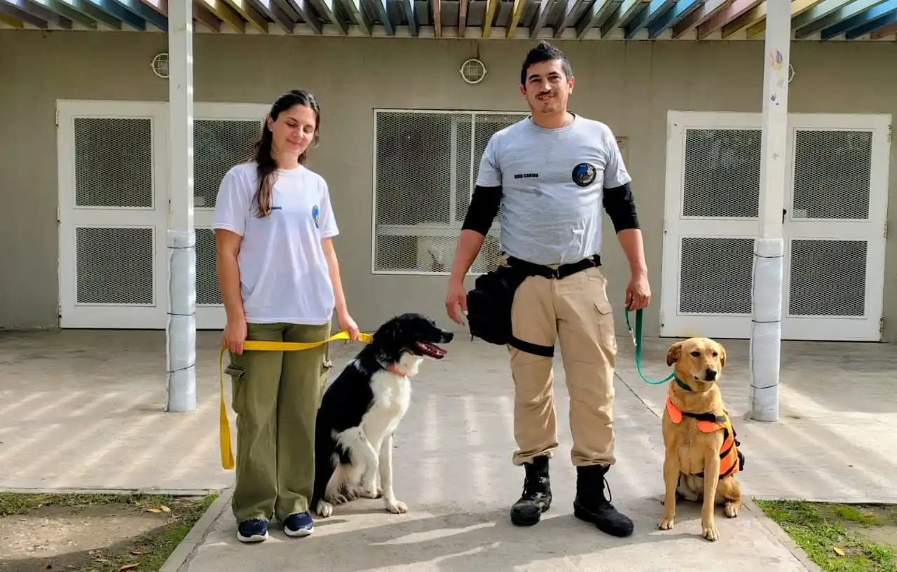 Aceituna, la perra de Chascomús que se certificó en rastro y olfato y se convirtió en orgullo local