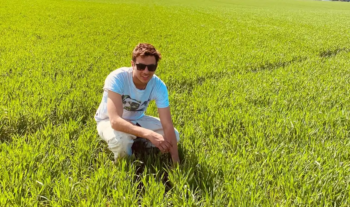 Francisco Torrean y el análisis del cultivo de maíz.