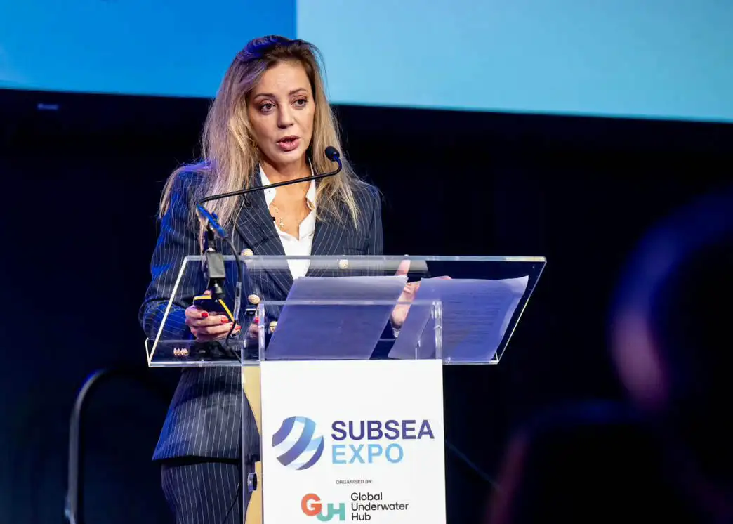 Flavia Royon, secretaria de Energía.