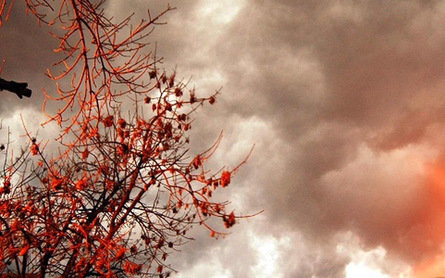 Alerta meteorológica: lluvias y tormentas en Gualeguaychú
