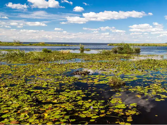 En mayo se conformará un comité para relevar los humedales de Gualeguaychú
