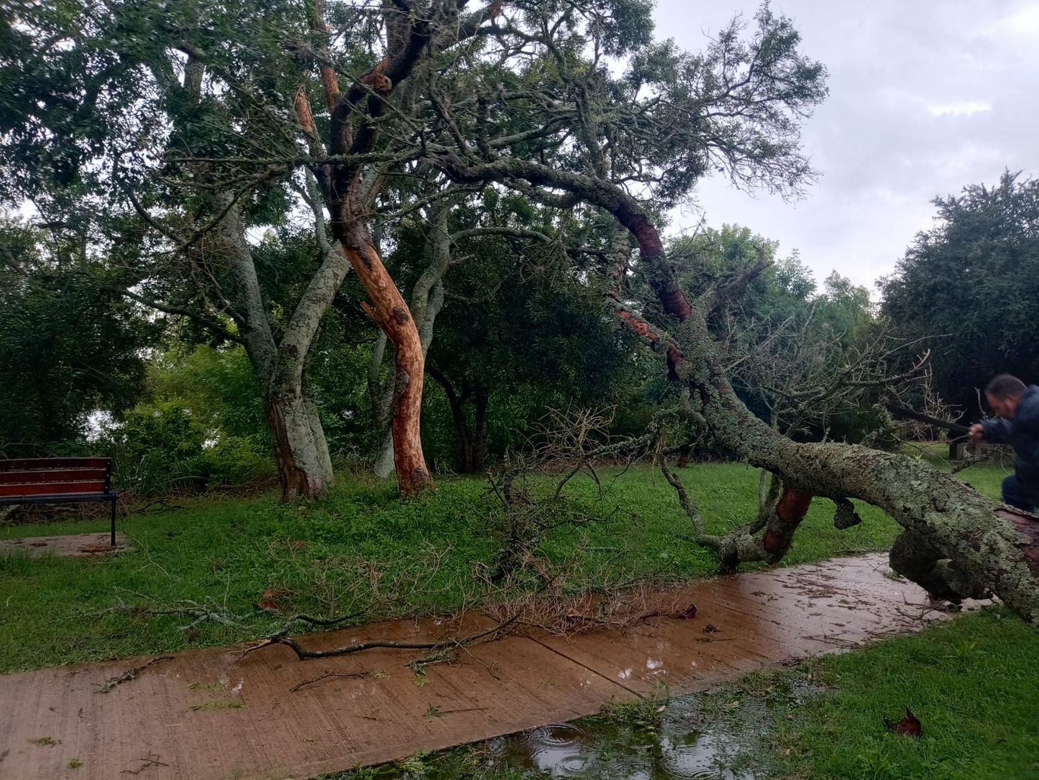 Gualeguaychú: Defensa Civil asiste en las zonas afectadas por la tormenta