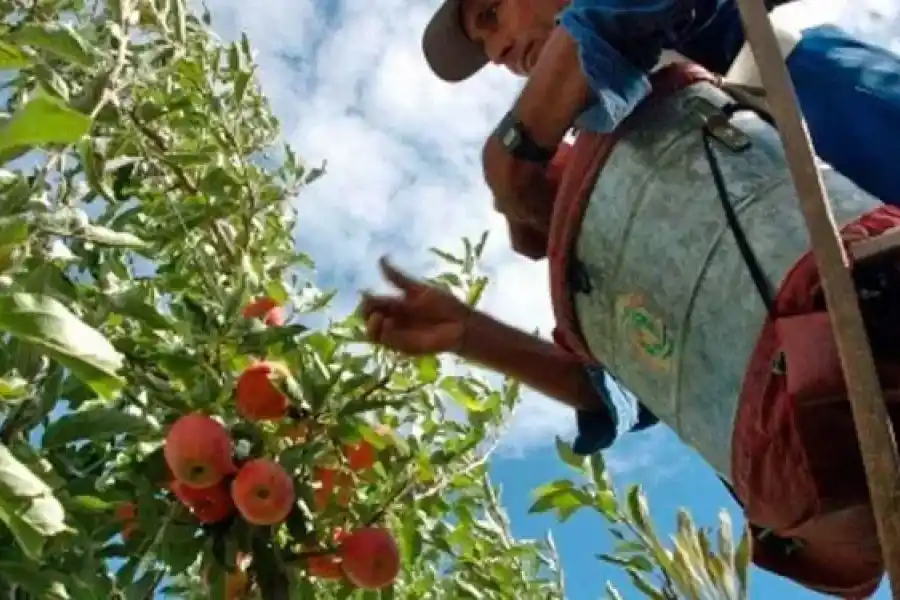 Inflación: más de la mitad de las economías regionales están en crisis