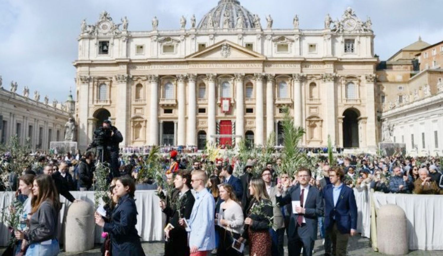 El Papa presidió la celebración del Domingo de Ramos en la Plaza de San Pedro