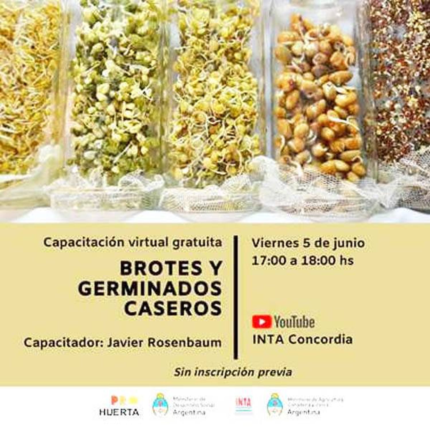 Brotes y germinados  caseros
