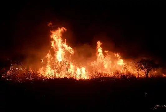 El gobierno, la Policía y los Bomberos refuerzan los trabajos para contener los incendios forestales 