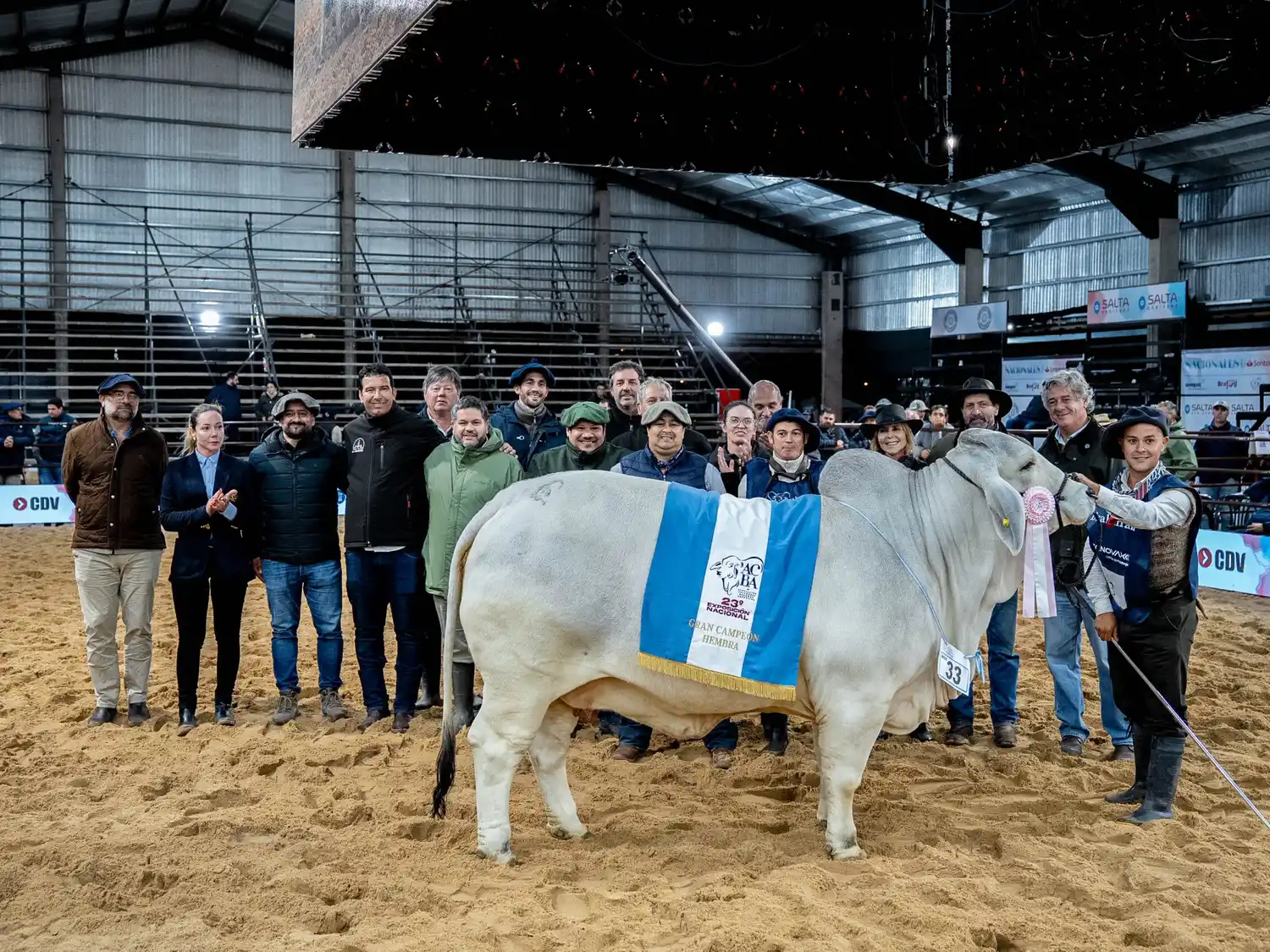 campeones de Brahman
