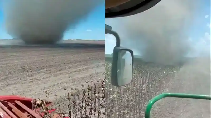 Videos: el fenómeno meteorológico registrado en campo santafesino y sus causas