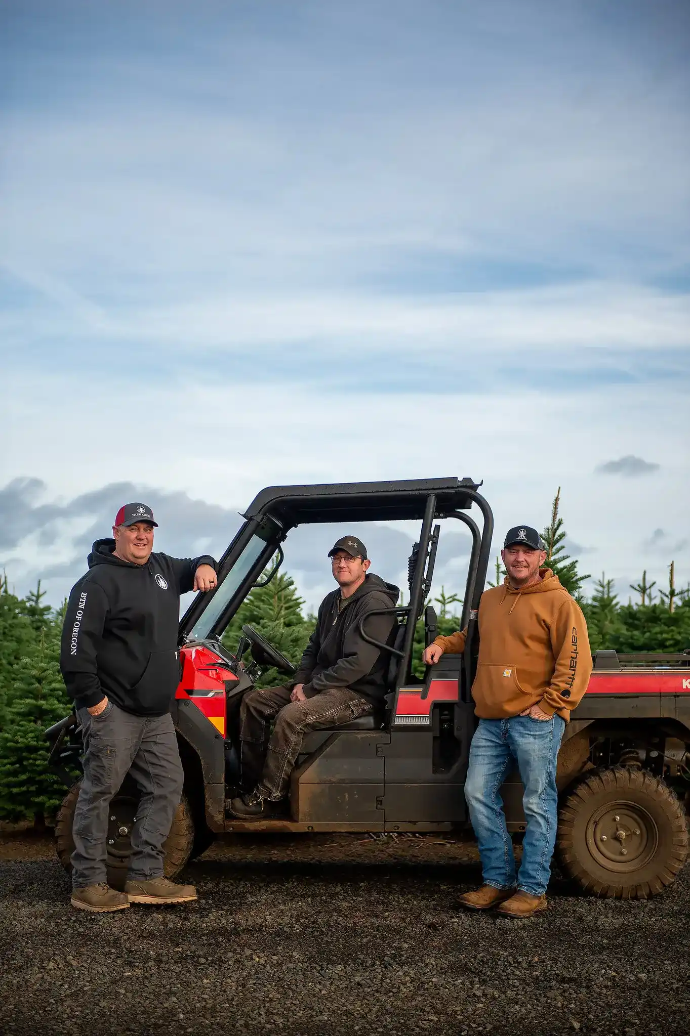Cada vez menos estadounidenses compran árboles de Navidad naturales