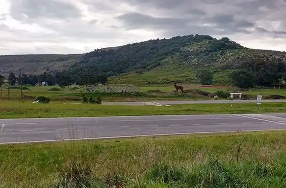 Bomberos rescataron a una pareja perdida en la zona de La Serranita