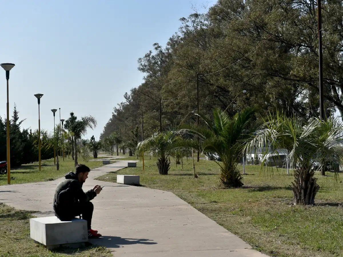 Plantaron 25 nuevos árboles en la Plaza de los Abuelos   