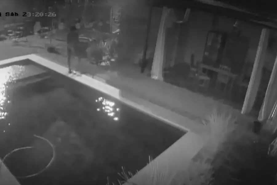 Horror en Chaco: un ladrón ahogó a un perro durante un robo