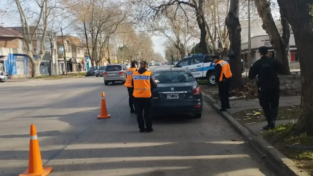 Procedimiento Fuerzas Federales 1