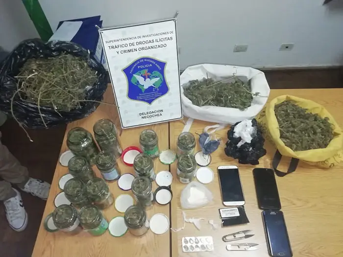 Un Pitbull custodiaba una casa donde vendían droga