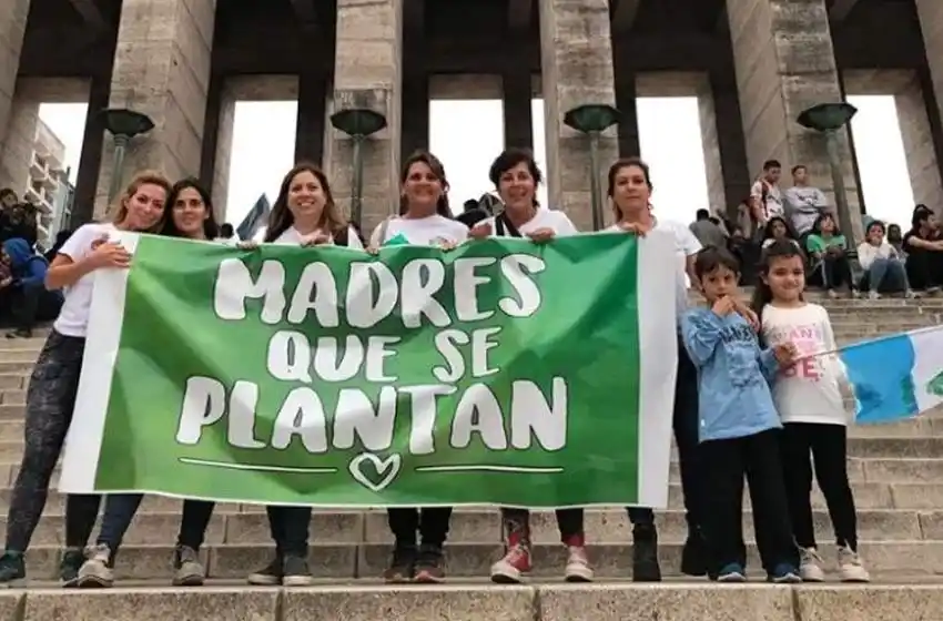 La respuesta de las madres que cultivan cannabis tras el fallo judicial en su contra