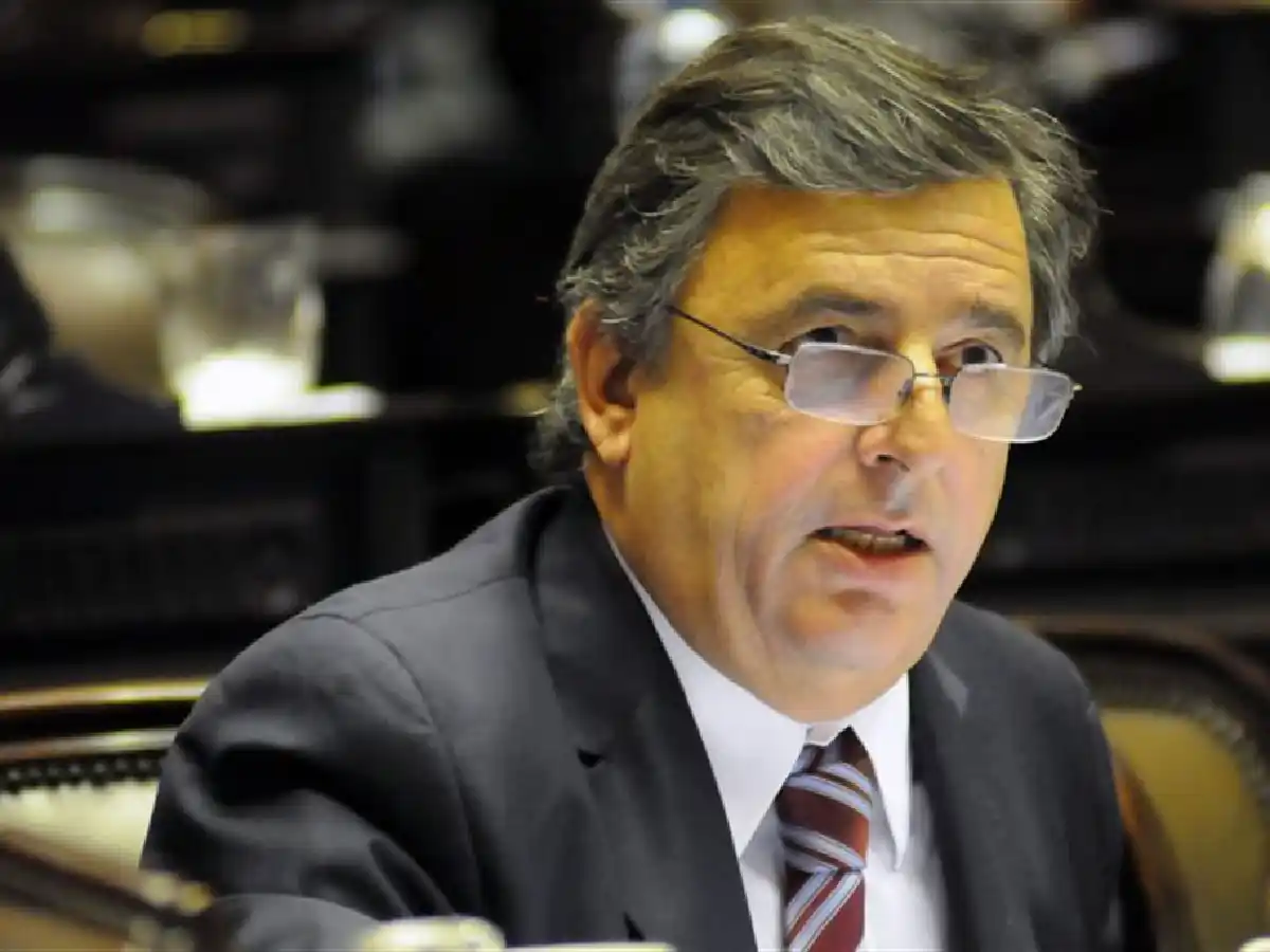 Negri: en las próximas elecciones "la sociedad va a acompañar un mayor equilibrio de poder"