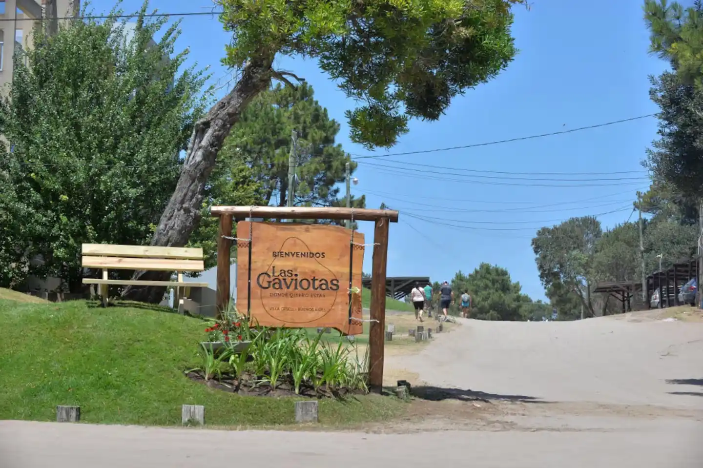 las gaviotas
