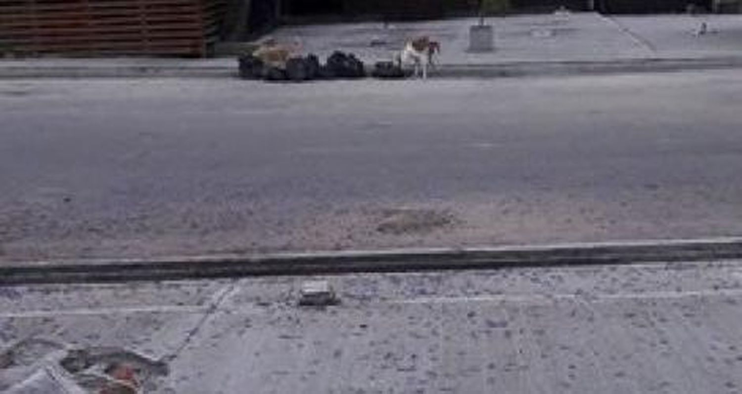 Basura tirada