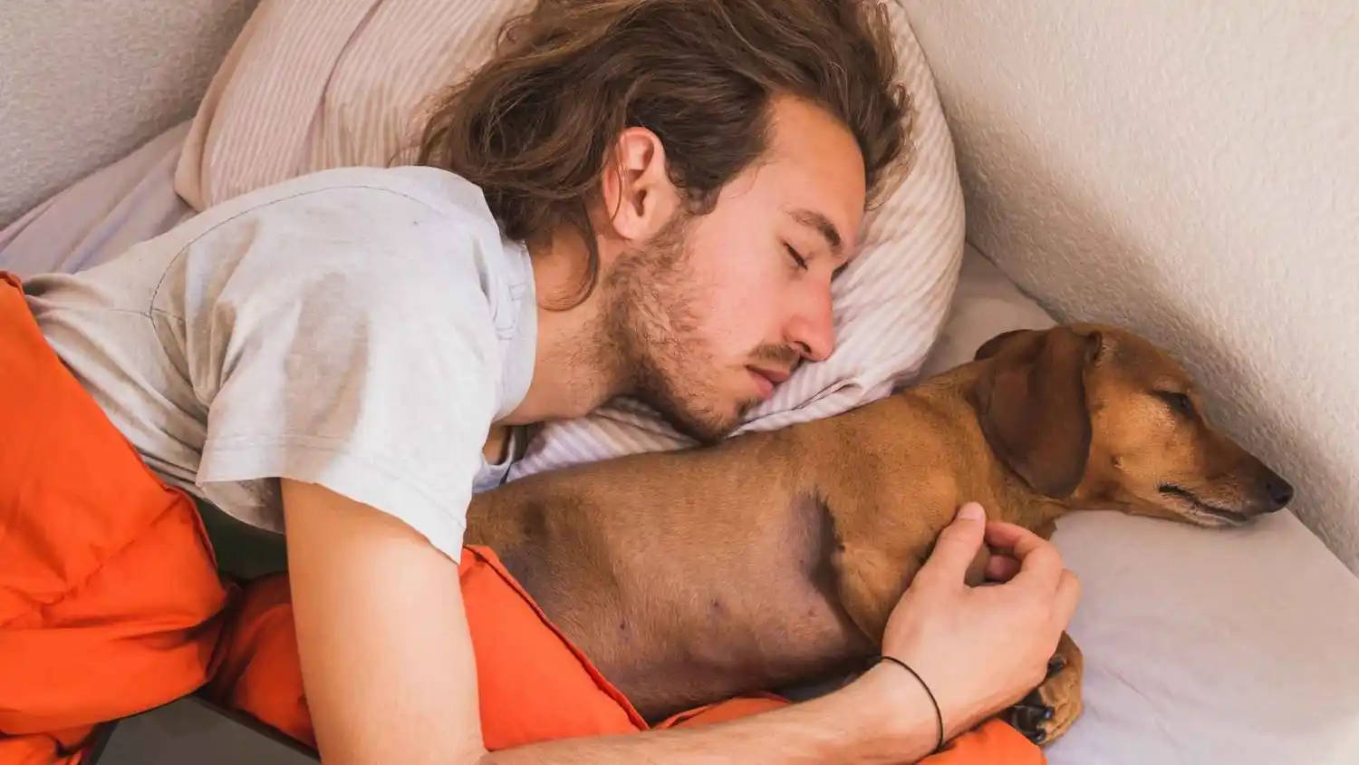 Por qué no conviene humanizar a los perros: hábitos que pueden afectar la convivencia