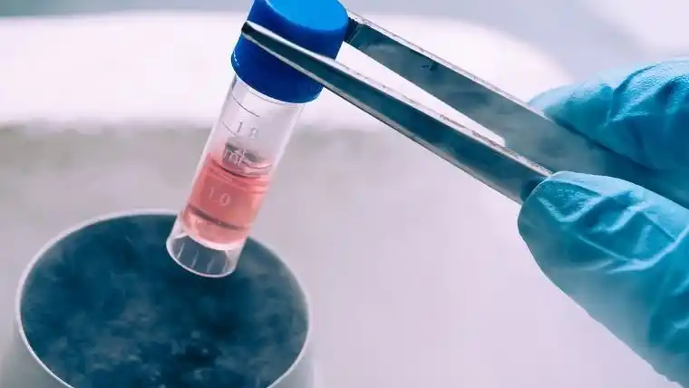 Detectaron un caso de viruela de mono en Estados Unidos