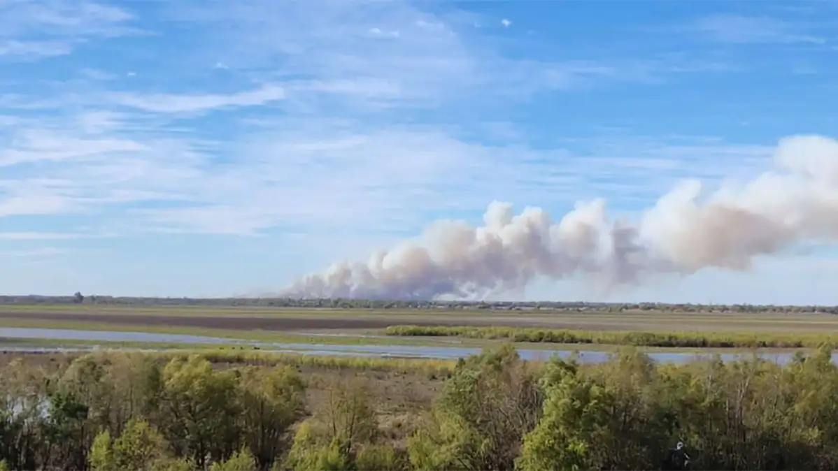 Tanto en 2021 como en 2022, la mayor cantidad de los incendios se desataron por personas que prendían fuego de manera intencional.