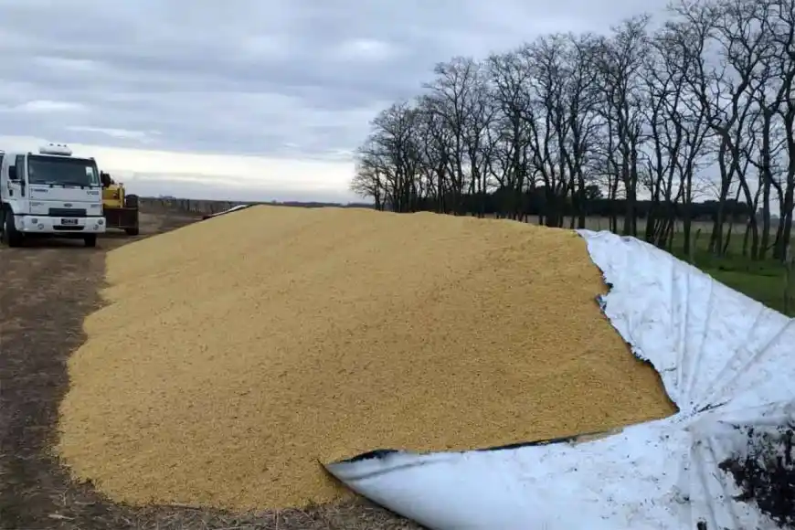 La CRA presentó en Diputados un proyecto para crear la figura de "vandalismo rural"