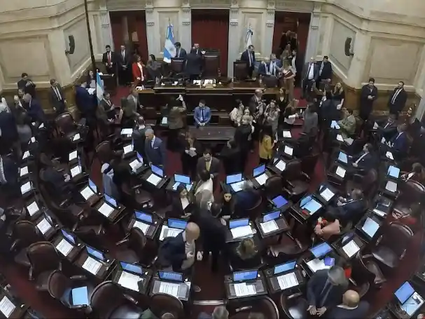 El Senado aprobó un proyecto de ley para limitar los Decretos de Necesidad y Urgencia.