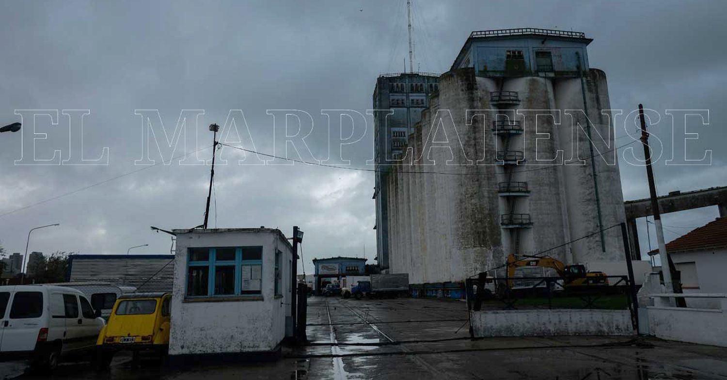 Presentan el proyecto para una nueva terminal en la zona de los silos