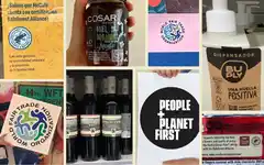 Cómo identificar a una empresa con impacto