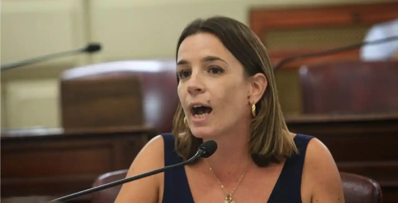 Lucila De Ponti presentó un proyecto de reforma constitucional