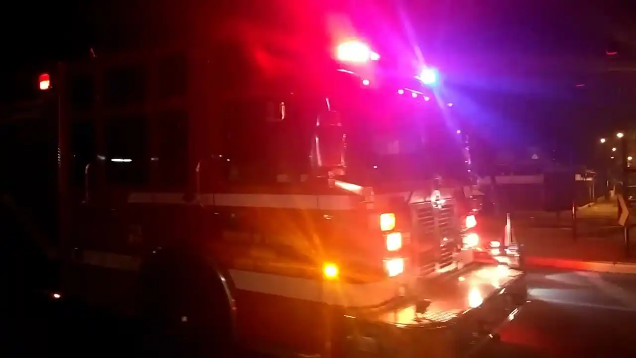 Esta madrugada: Bomberos de Chascomús rescataron al chofer de un ómnibus que colisionó con una vaca en la ruta 2