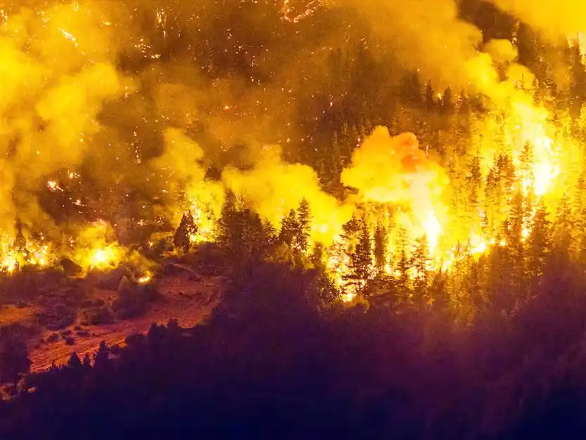 Se acordó declarar por DNU la Emergencia Ígnea para las provincias afectadas por los incendios en el sur