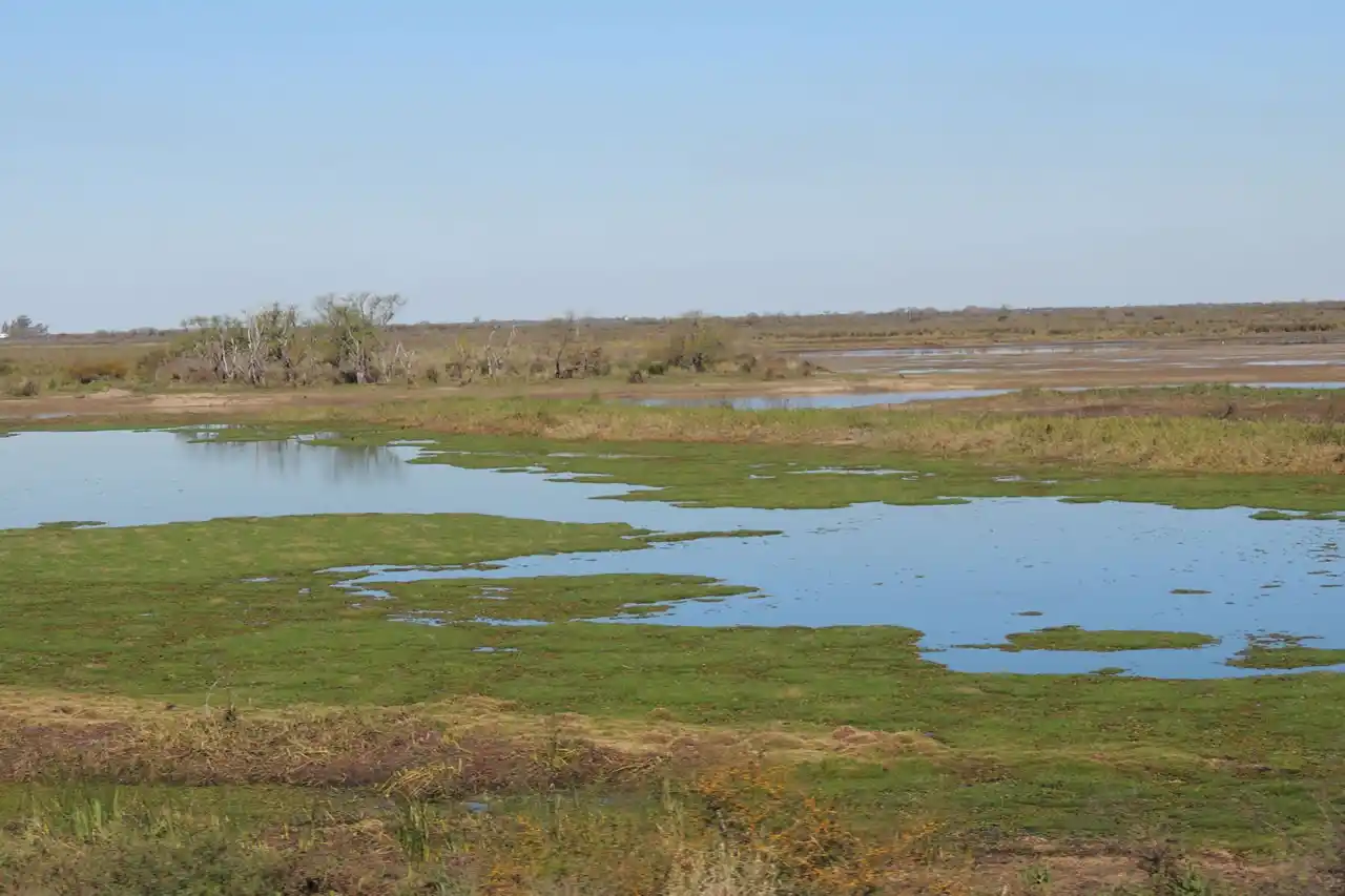 Detectan tres focos de incendios en el Delta