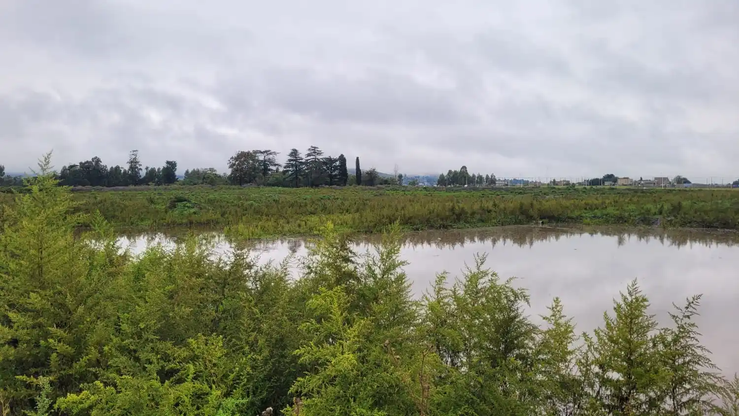 calles inundadas lluvia tormenta 30-03-25 - 4