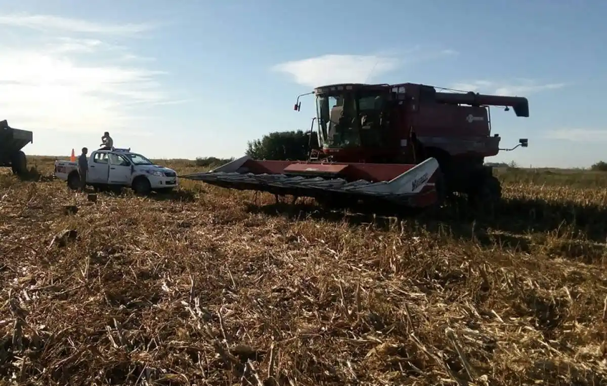 Pehuajó: Dos obreros rurales murieron al ser aplastados por una cosechadora