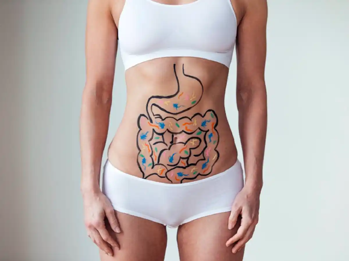 La salud empieza en el  Intestino: cómo mantener equilibrada la microbiota 