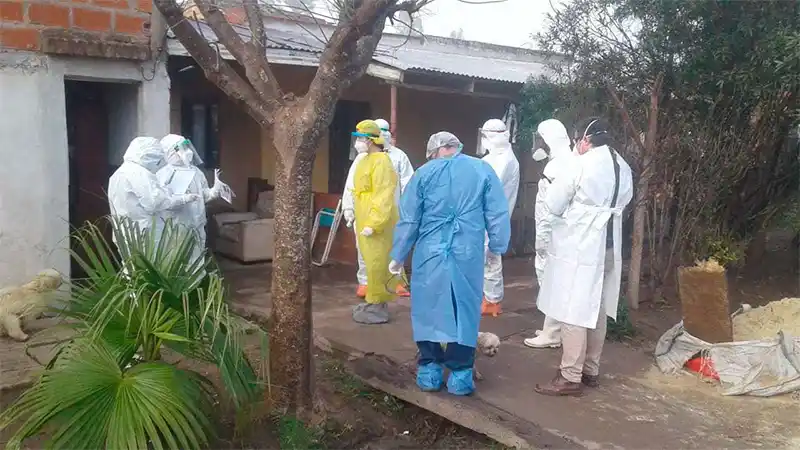 Números si, números no