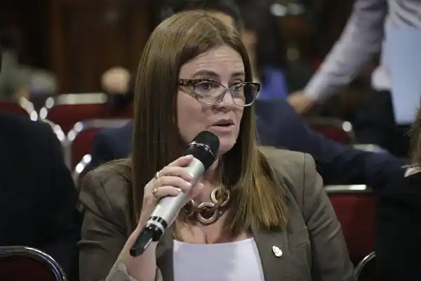 El Senado aprobó los proyectos de Kunath sobre despidos en el Estado