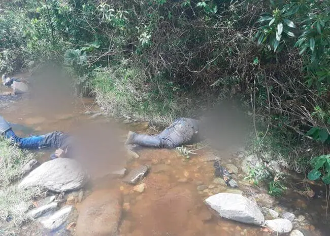 MASACRE en Colombia: encontraron cuatro cadáveres en Nariño