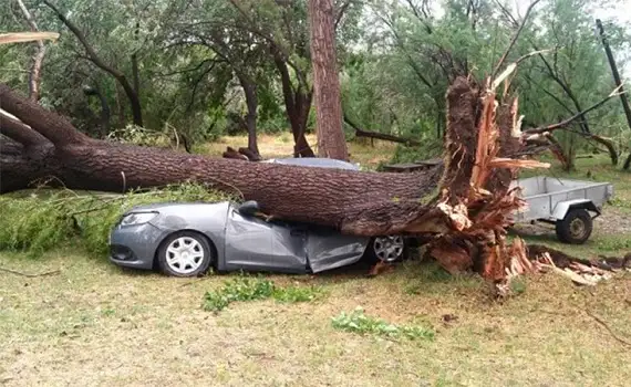 Una abuela y su nieta fallecieron tras intenso temporal de viento