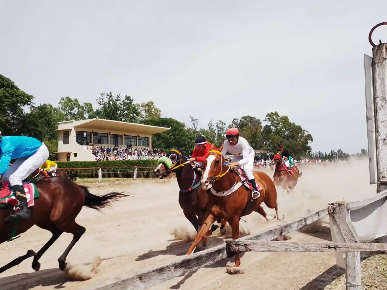 Turf: cierre de temporada con grandes definiciones y destacadas actuaciones