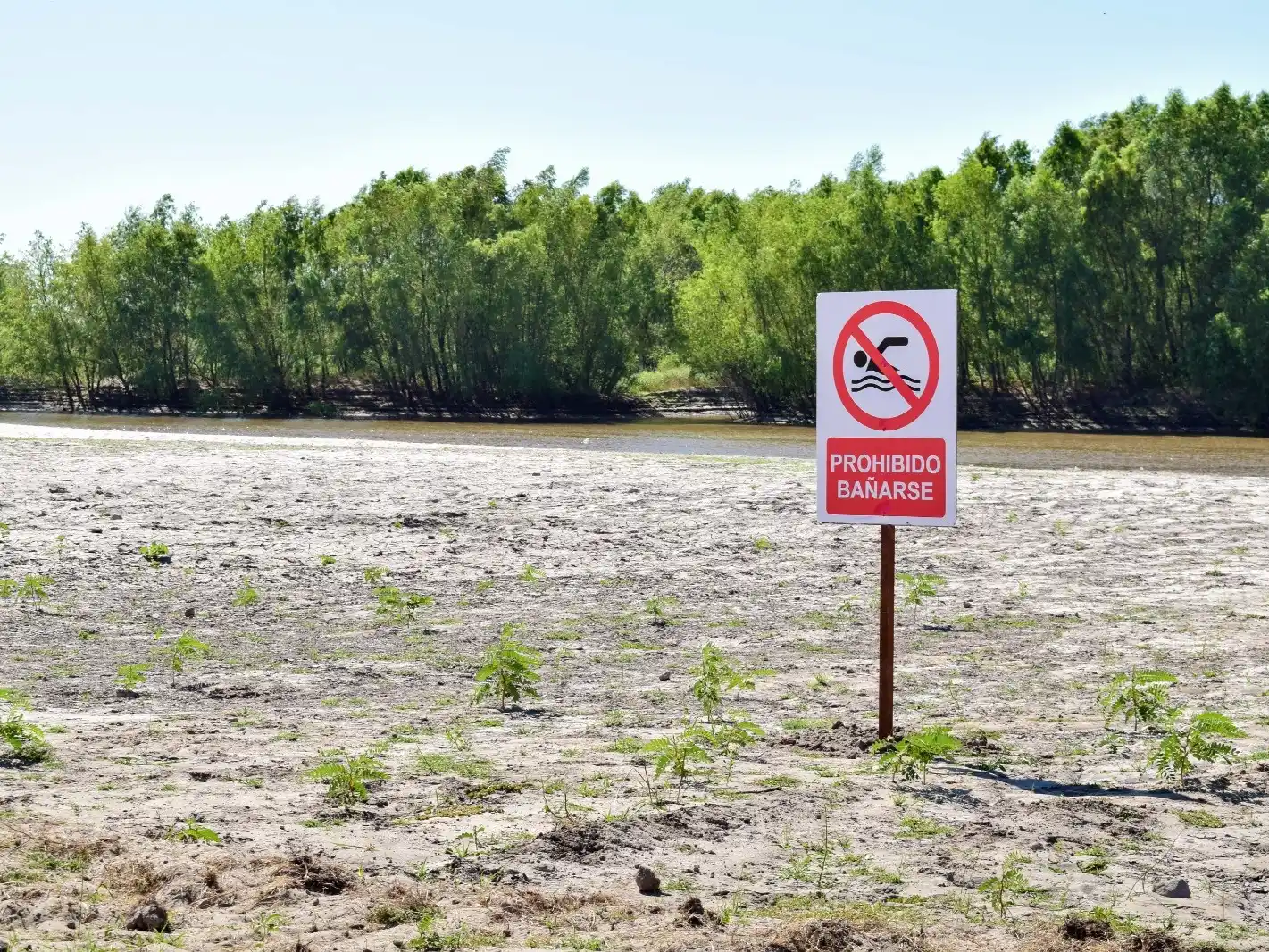 Precaución en Costanera Sur: Espacio exclusivo para deporte y recreación