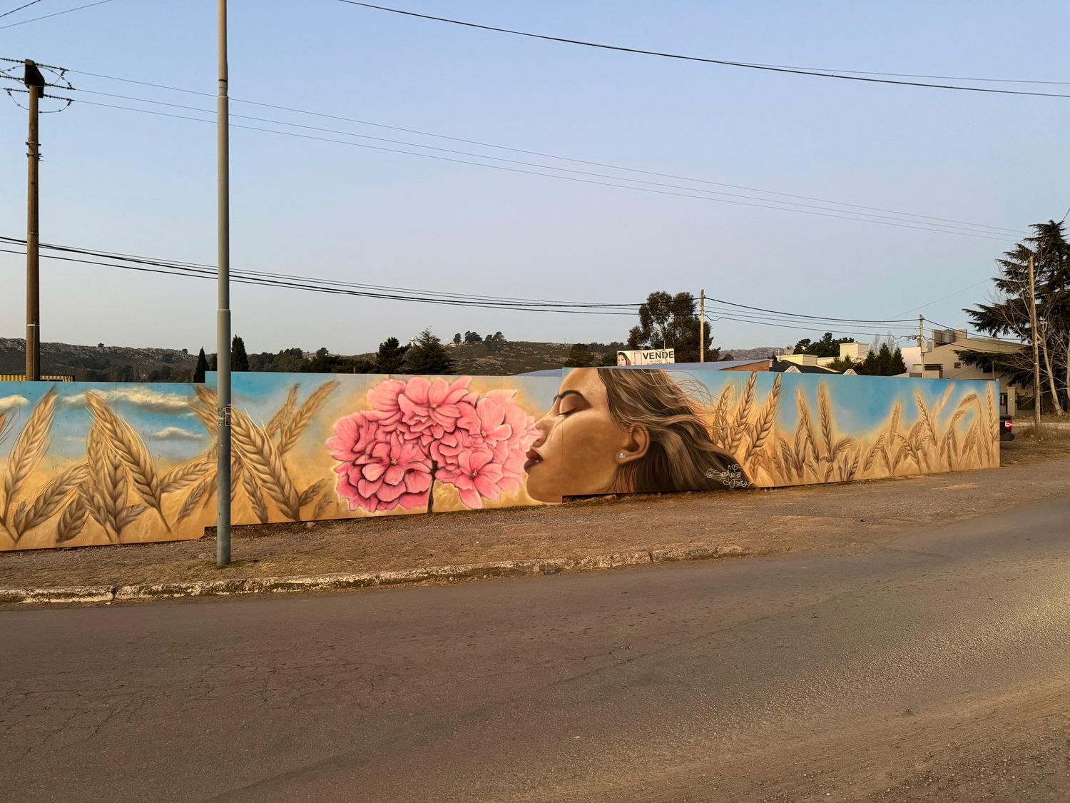 Mural "Bienvenidos a Tandil" de Seba Cener