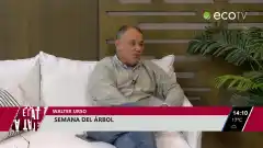 Se realizarán actividades para concientizar sobre el cuidado del ambiente