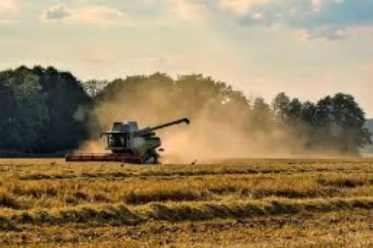 El sector agroindustrial exportó de enero a septiembre US$28.045 millones