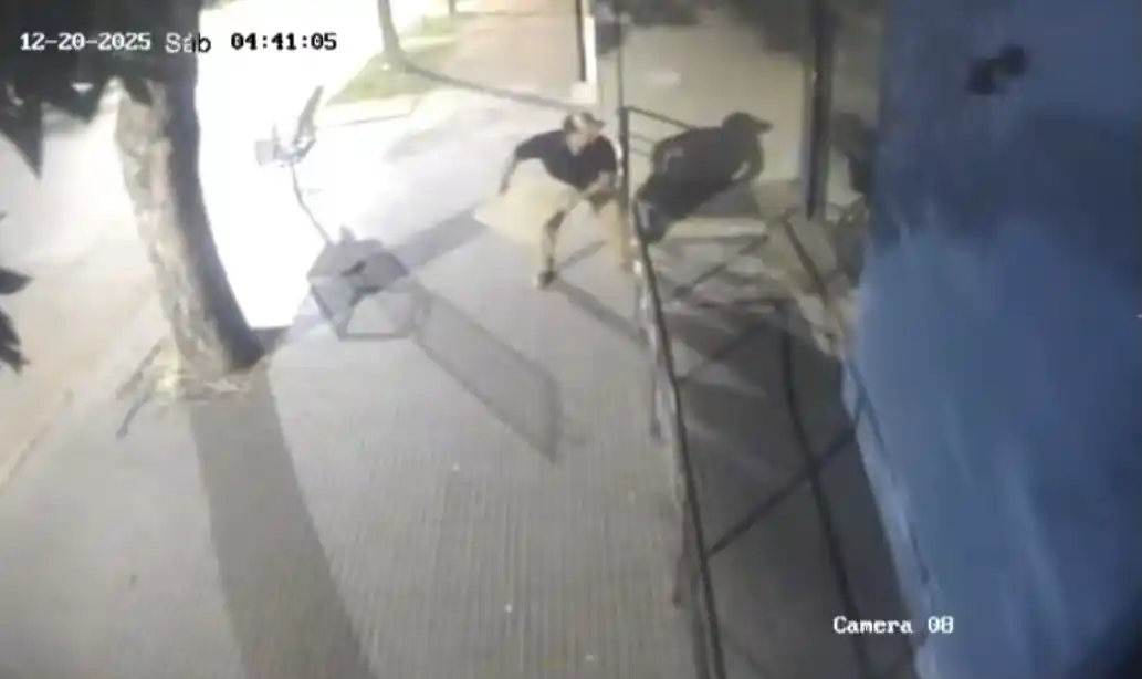 Nuevos daños en el Registro Automotor: quedó filmado un acto de vandalismo - 2