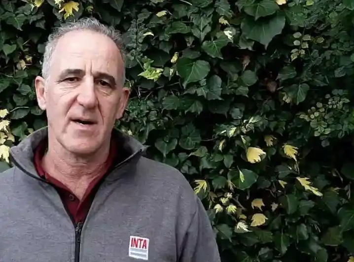 EL ECO CAMPO: Un equipo del Inta avanza en el desarrollo de una papa que optimiza el uso del agua