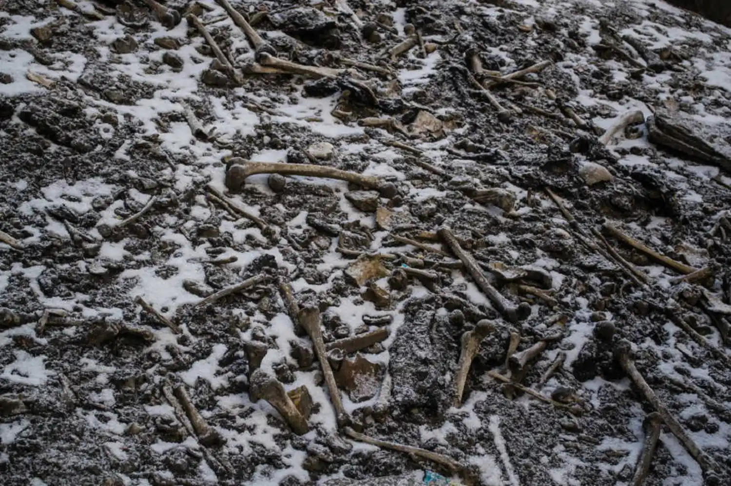 Estudian restos humanos hallados en un lago congelado