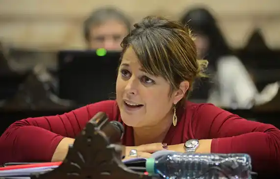 Gaillard explicó los alcances de la nueva Ley de Respuesta Integral al VIH